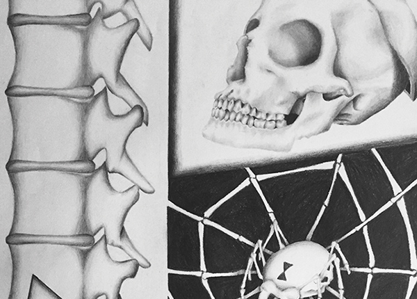 Cropped skeleton sketches