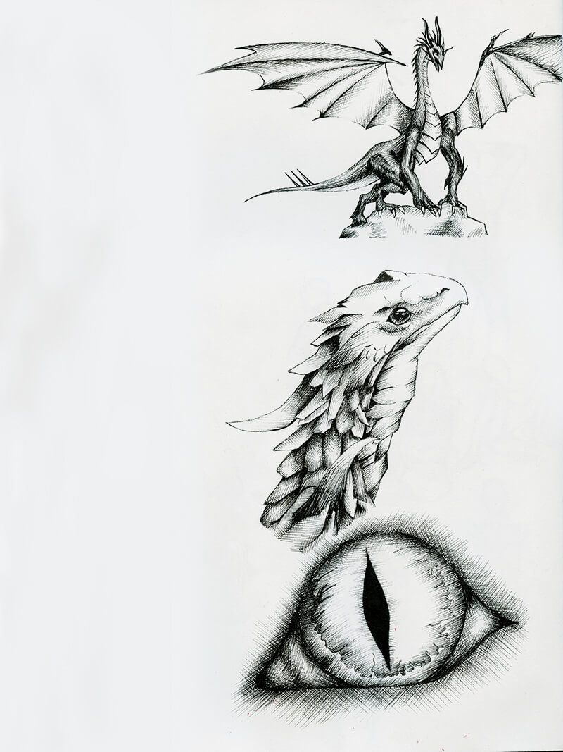 Dragon sketches by Lorenzo Lizardi