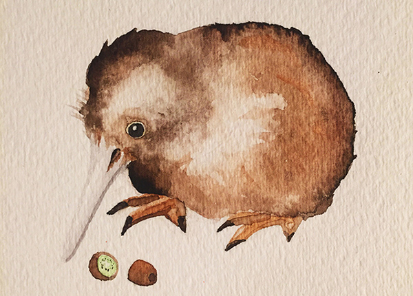 kiwi watercolor