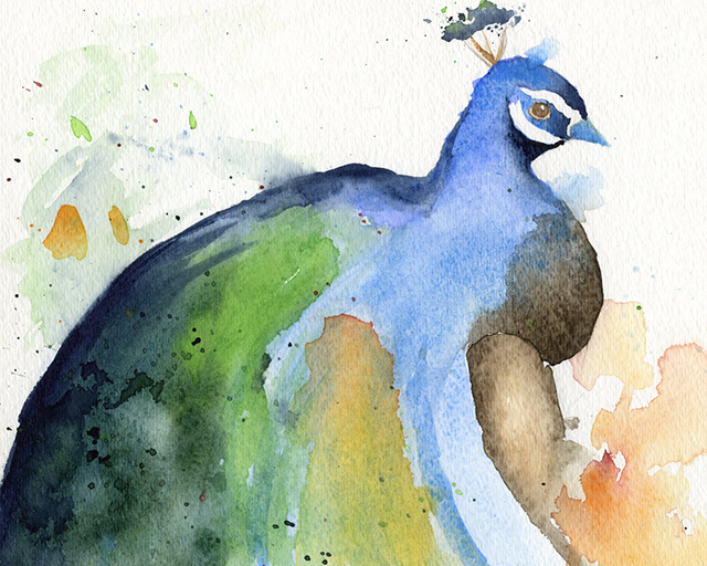 watercolor painting of peacock